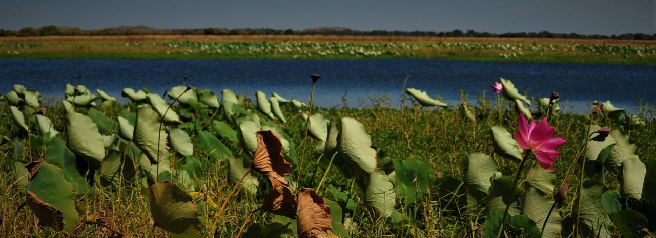 Mikinj Valley (Red Lily Arnhem Land Sightseeing Day Tour (Ex Jabiru)