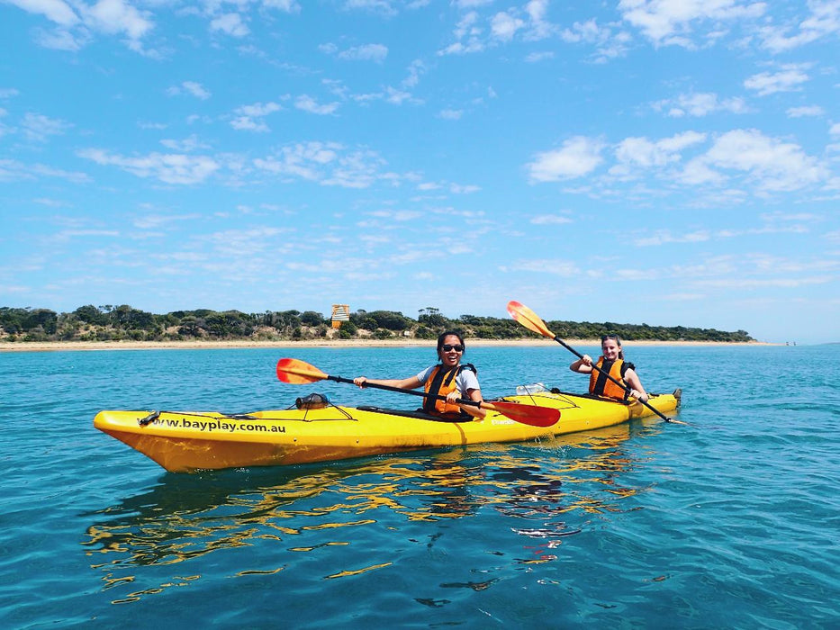 Kayak The Dolphin Sanctuary