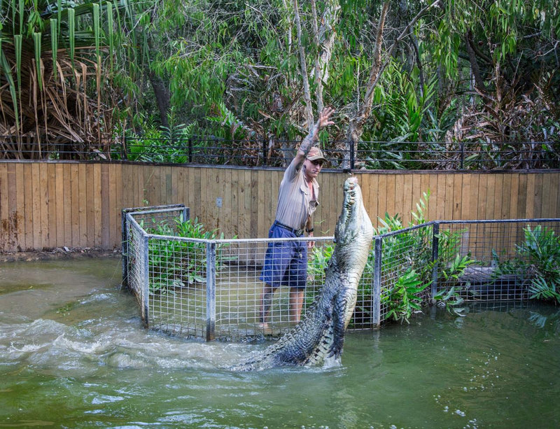 Kuranda: Scenic Rail, Skyrail And Hartley's Crocodile Adventures Q-0850 S-1130 Xc