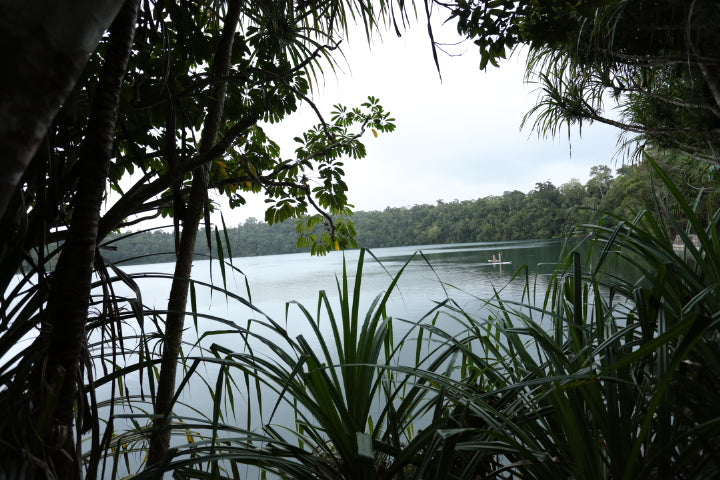 Freedive - Lake Training Session