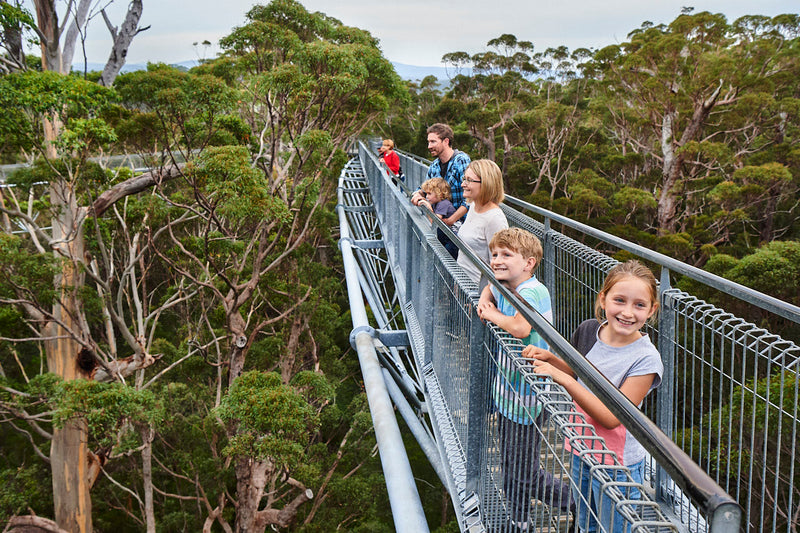 Valley Of The Giants Tree Top Walk