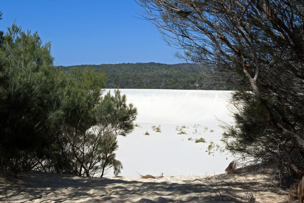 1 Day Moreton Island Snorkel Kayak & Sandboard Adventure Tour - We Wander