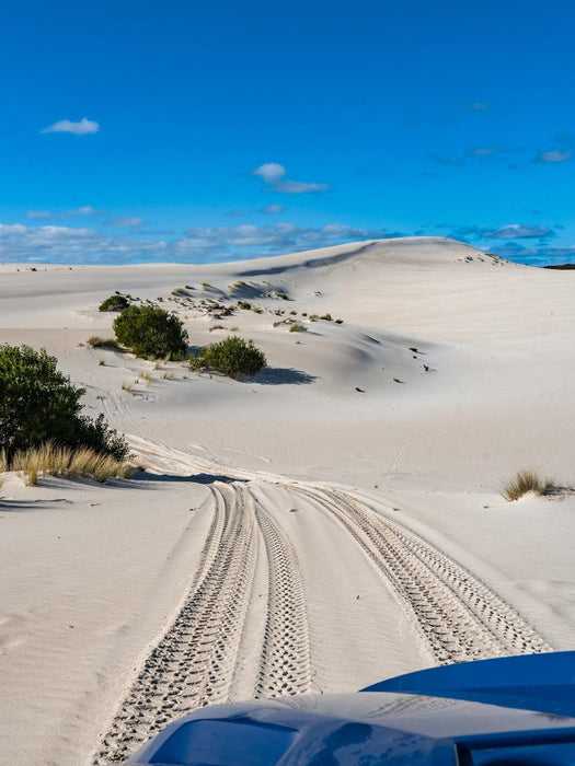 1 - Hour Little Sahara Buggy Tour - We Wander