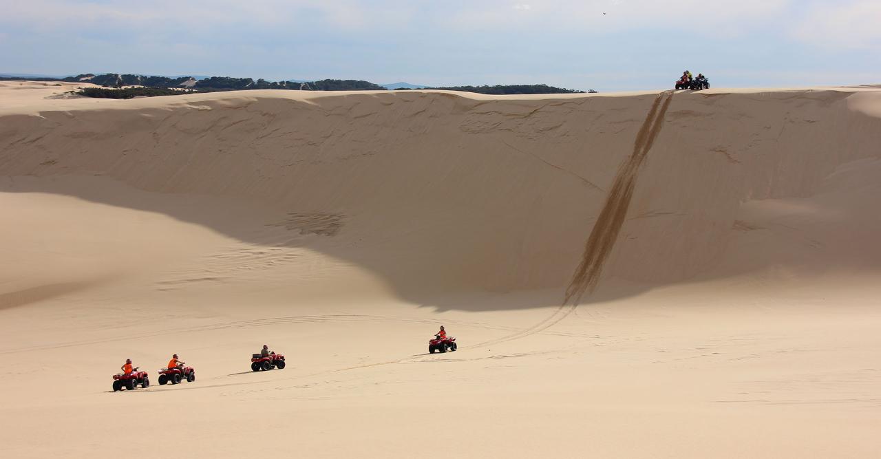 1 Hour Quad Bike Adventure Tour - We Wander