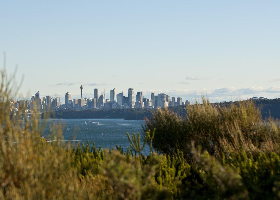 Nature, Culture And History Immersion In North Head Walk