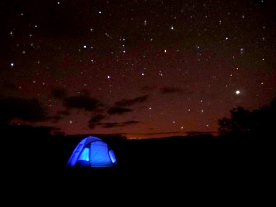 Blue Mountains Into The Wild Overnight Camping 4Wd Off Road Wilderness Adventure + River Cruise.