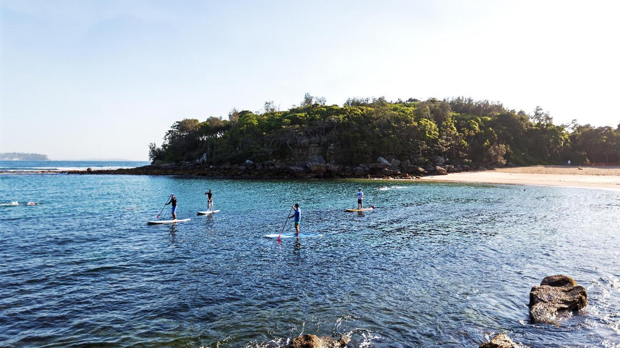 Nature, Culture And History Immersion In North Head Walk