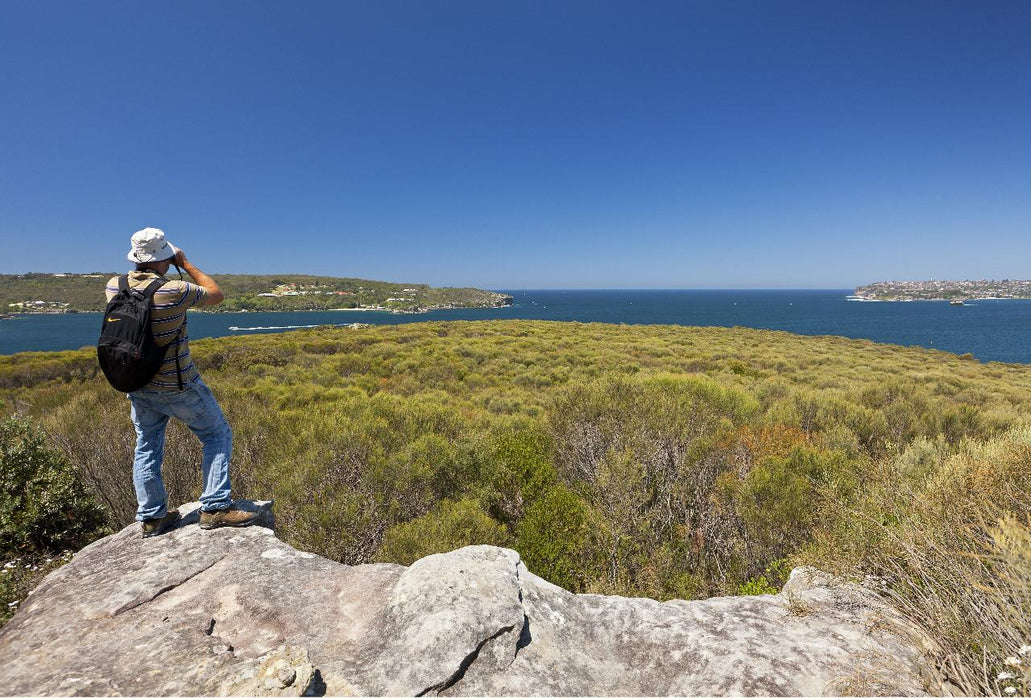 Nature, Culture And History Immersion In North Head Walk