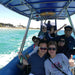 1.5Hr Dolphin And Seal Watching Eco Boat Tour Mornington Peninsula - We Wander