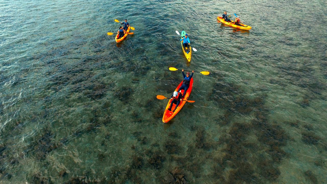 3-Hour Sunrise Kayak Turtle Tour