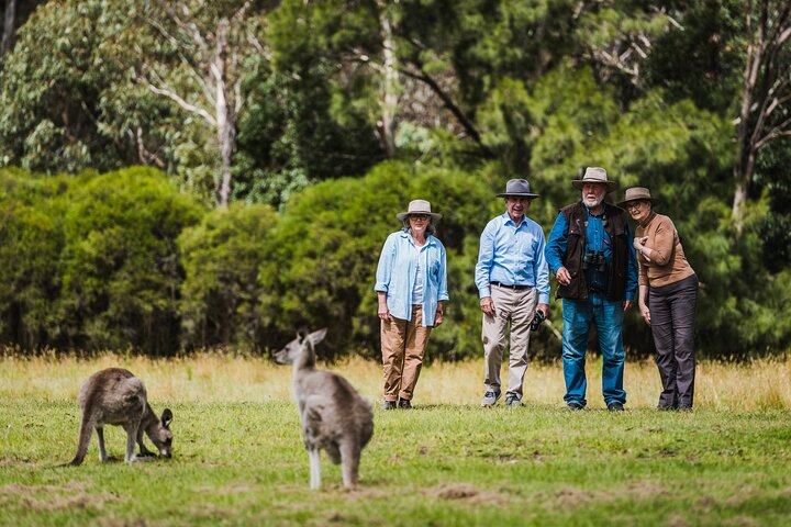 Best Of Wildlife And Birds Tour - Canberra