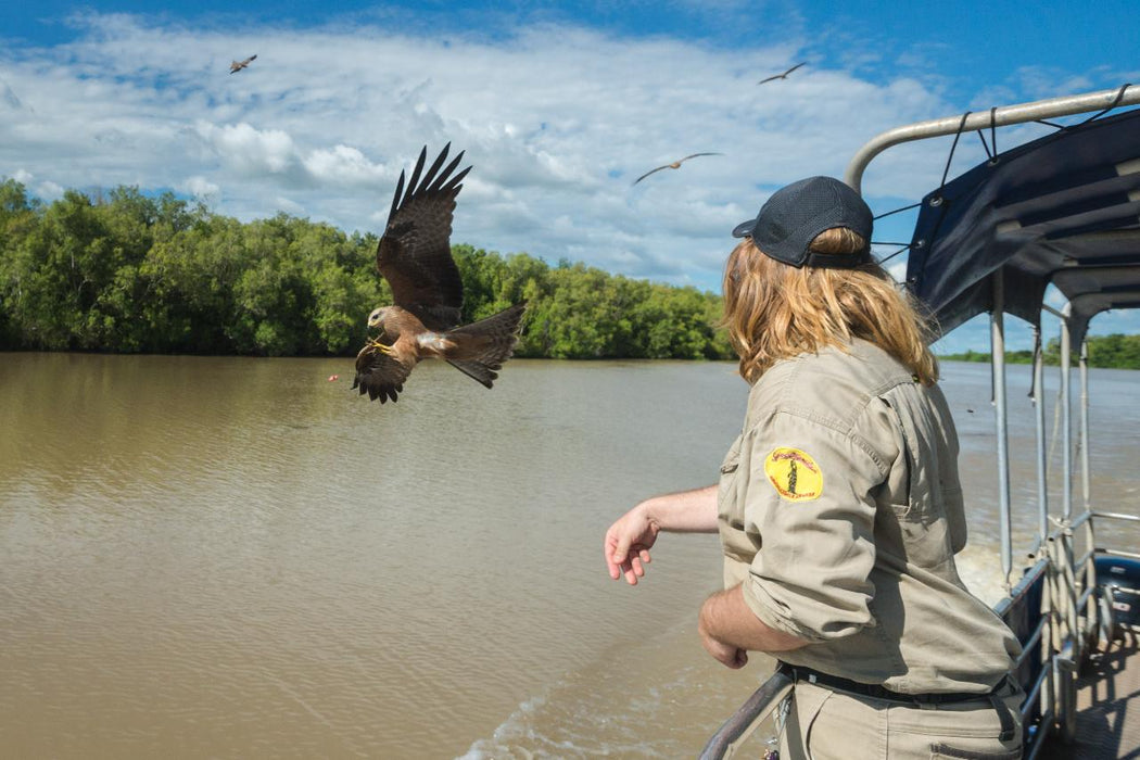 Autopia Tours: Litchfield National Park + Croc Cruise From Darwin