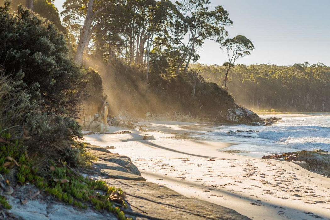 2 Day Bruny Island & Port Arthur Tour From Hobart - We Wander