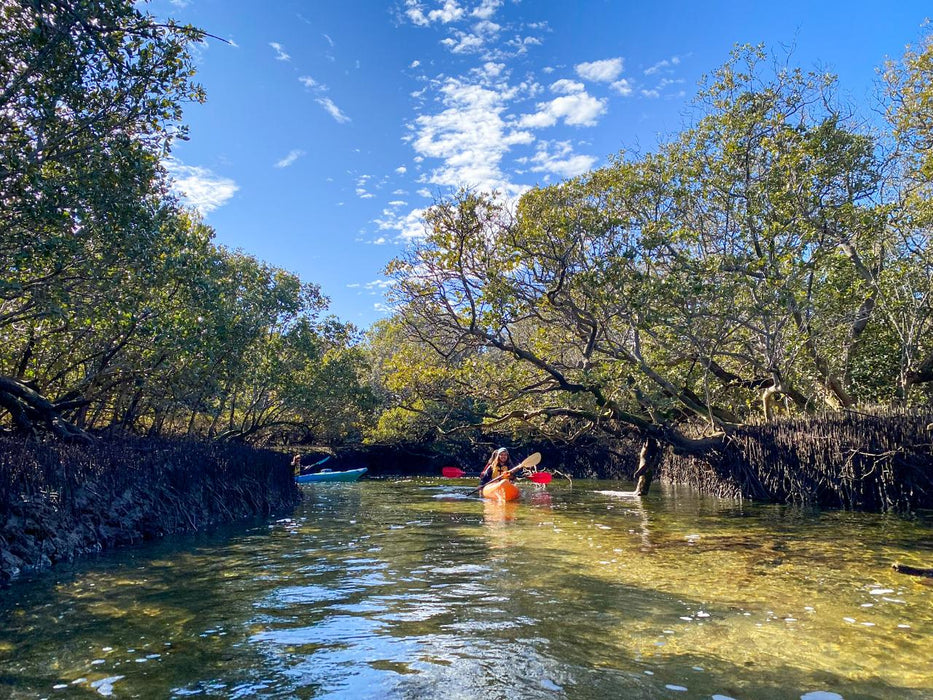 2 Person Kayak Hire - We Wander