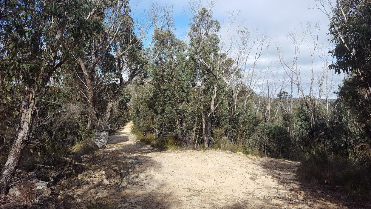 E- Bike (Electric) Guided Tour - Half Day - Hanging Rock - Blackheath