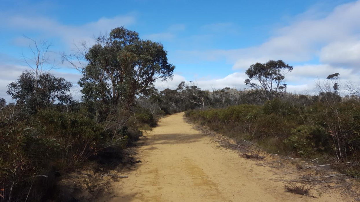 E- Bike (Electric) Guided Tour - Half Day - Hanging Rock - Blackheath