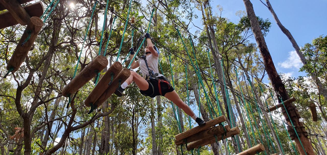 Dwellingup Treetops Adventure Hike