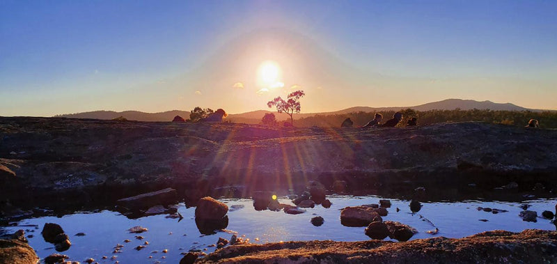 Mt Vincent Sunrise Meditation Hike