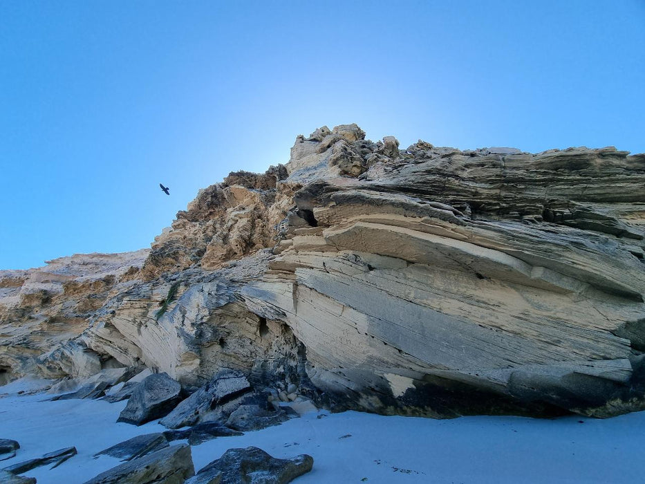 Coffin Bay - Oyster, Off-Road Sightseeing 4Wd Full-Day Tour