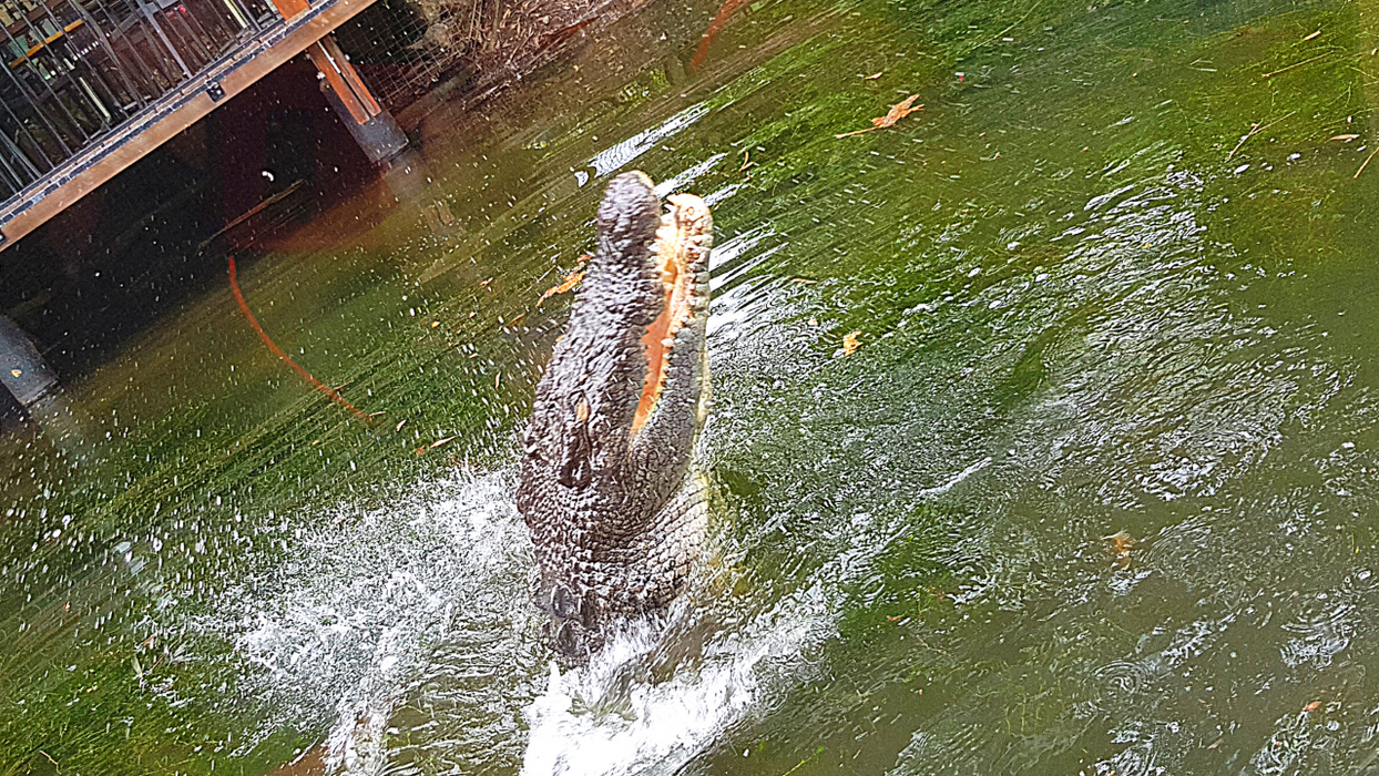 Hartleys Crocodile Adventures (Ex Port Douglas)