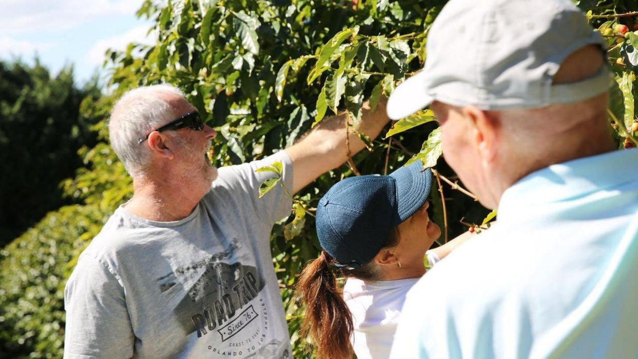 Tastes Of Tamborine Mountain Tour