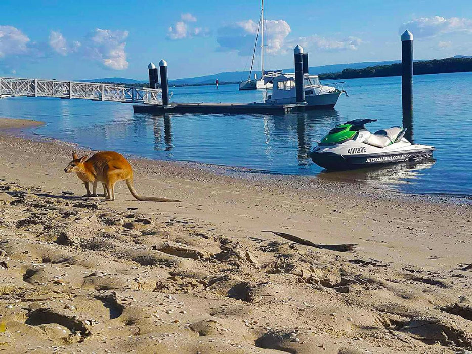 2.5 Hour Jet Ski Safari + Jet Boat + Parasail - We Wander