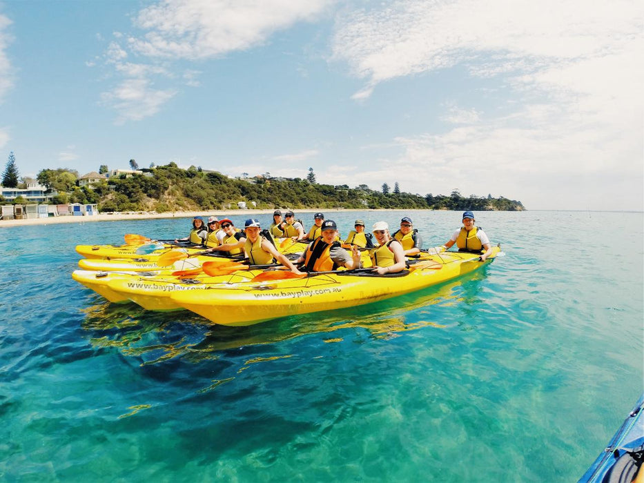 Kayak The Dolphin Sanctuary