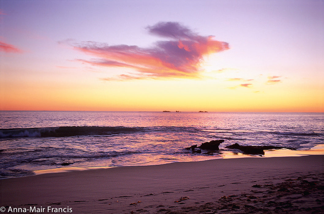 Photographing Australian Animals, Seascapes And Sunsets