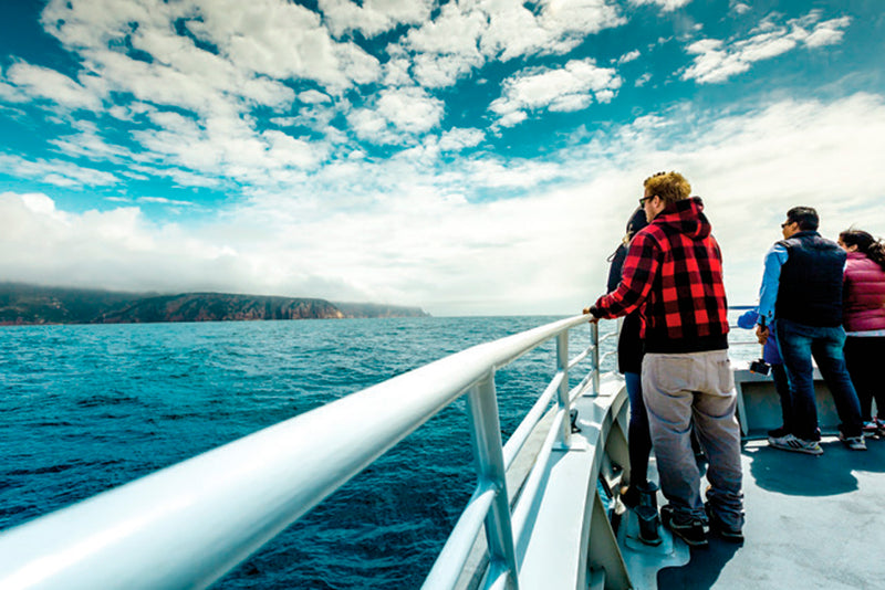 Wineglass Bay Cruises - Vista Lounge