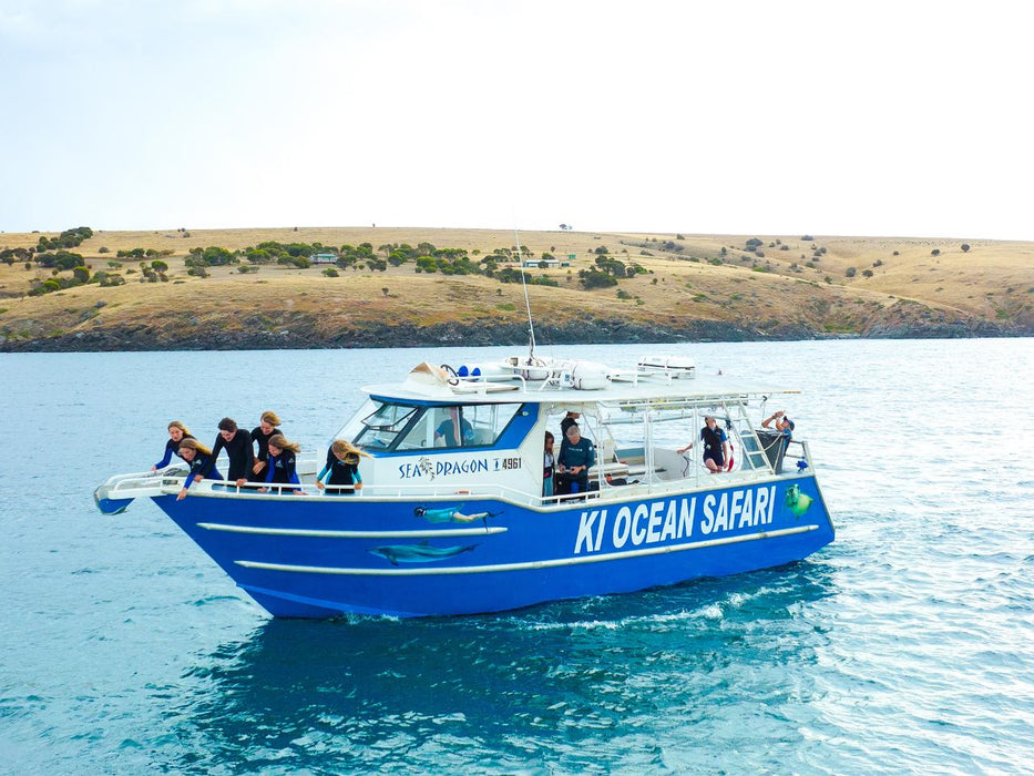 Kangaroo Island Ocean Safari - 2 Hour Swim With Dolphin, Seal & Coastal Snorkelling