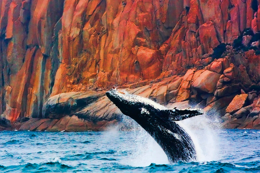 Wineglass Bay Cruises - Sky Lounge For Adults Only