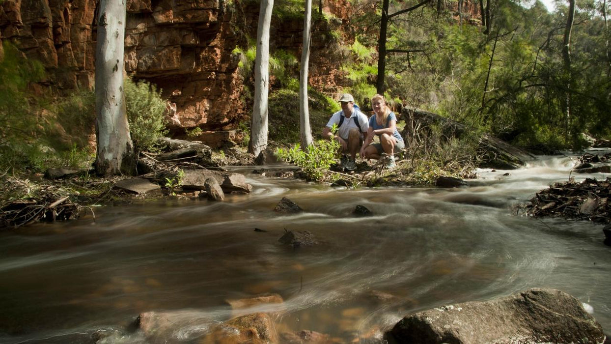 3 - Day Flinders Ranges & Outback Small Group 4Wd Eco Safari - We Wander