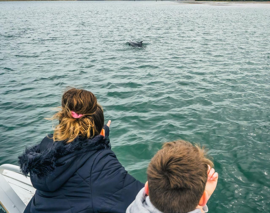 90 Minute Port River Dolphin & Ships Graveyard Cruise