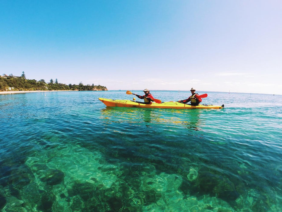 Kayak The Dolphin Sanctuary