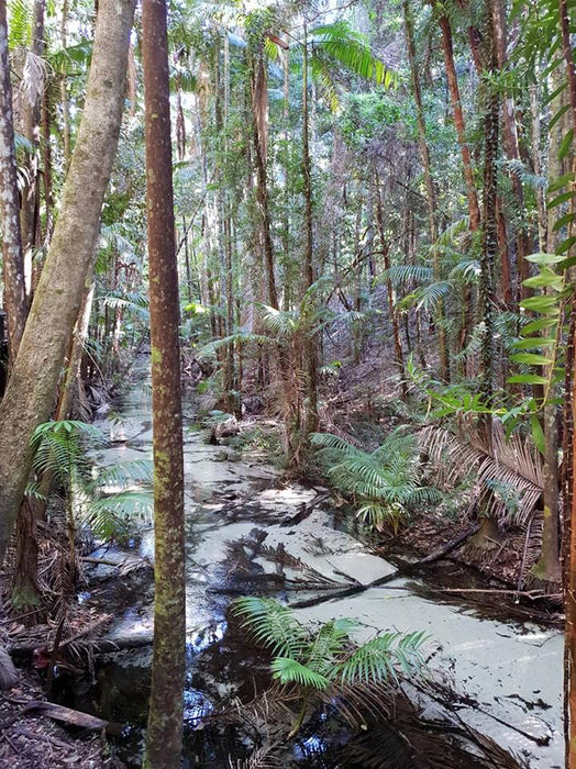 Fraser Island Exclusive 4Wd Day Tour