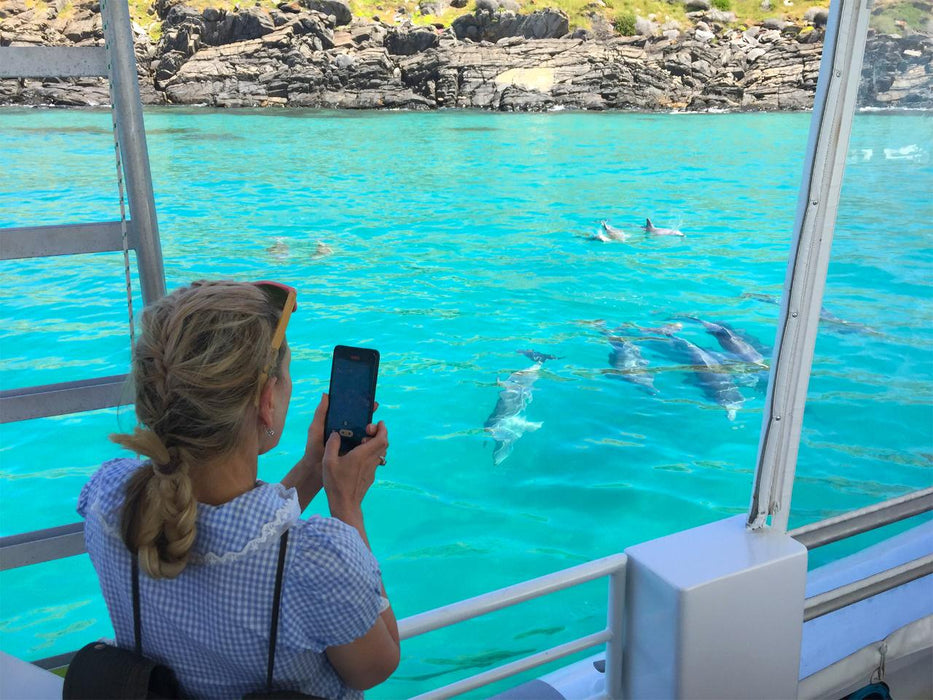 Kangaroo Island Ocean Safari - 75 Minute Safari