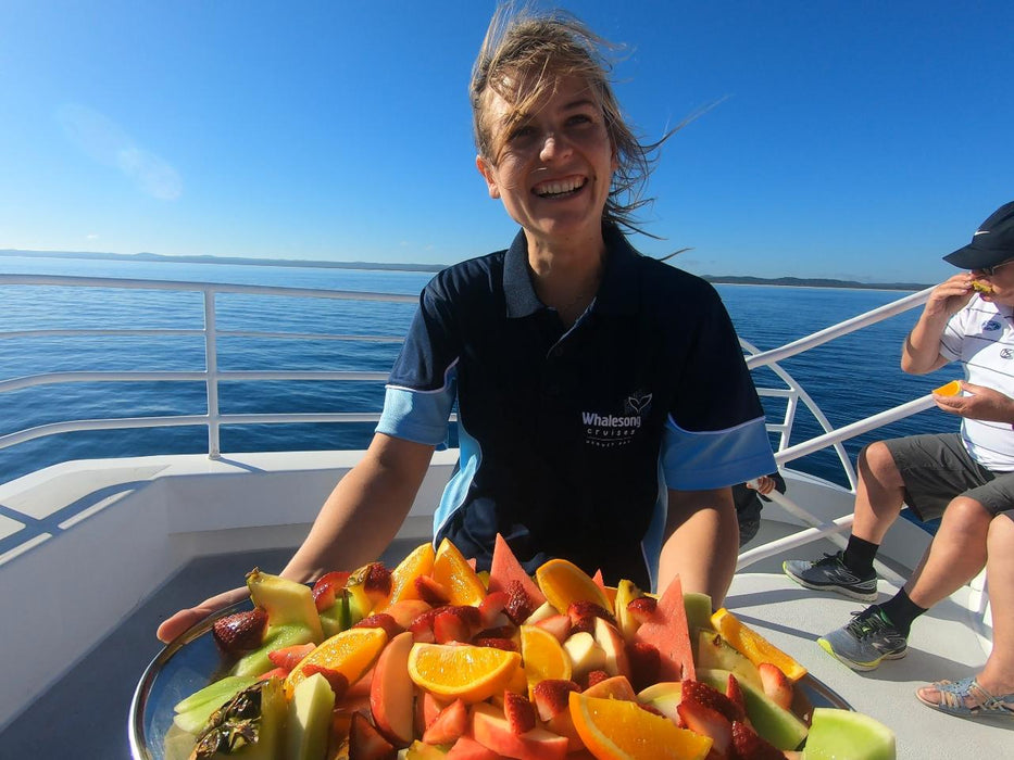 Hervey Bay Whale Search And Dolphin Watch