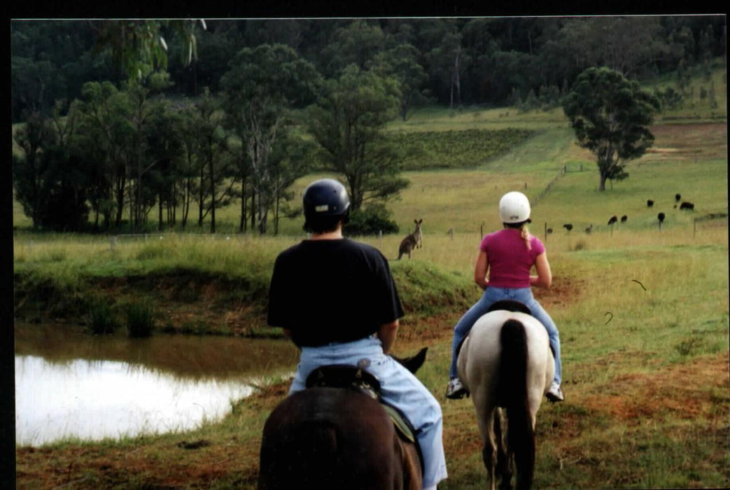 Heli-Horsing And Picnic