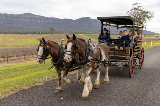 45 - Minute Vineyard Horse - Drawn Carriage Ride - We Wander