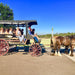 45 - Minute Vineyard Horse - Drawn Carriage Ride - We Wander