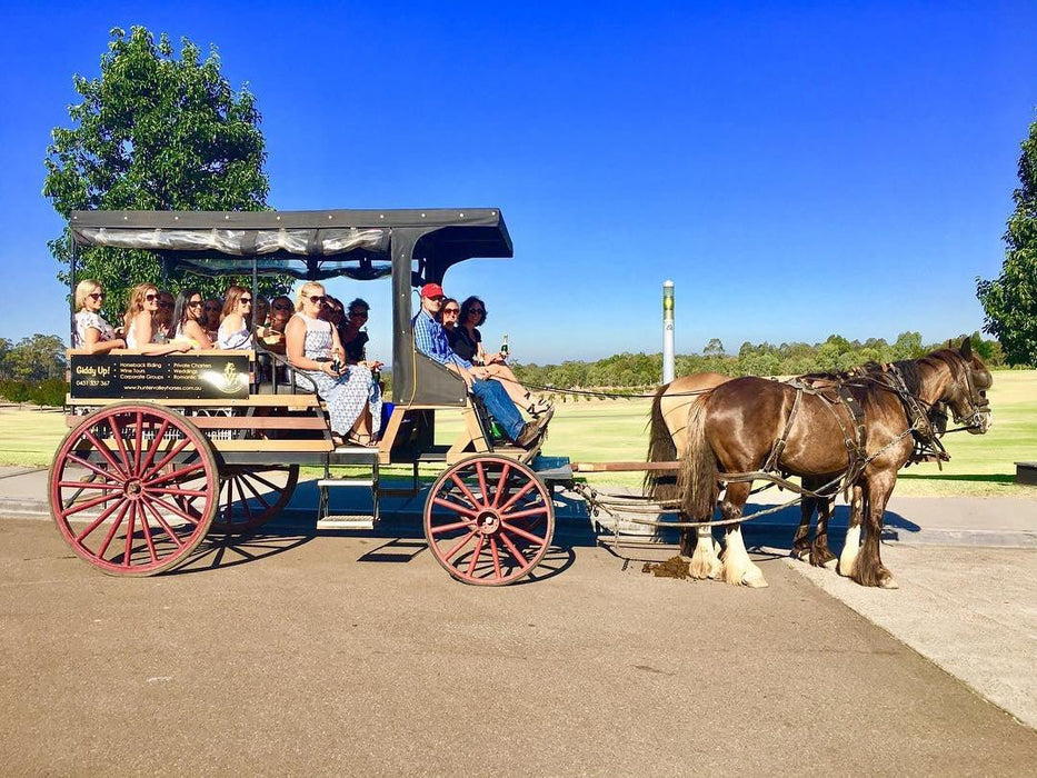 45 - Minute Vineyard Horse - Drawn Carriage Ride - We Wander