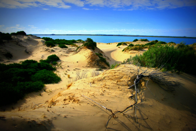 Coorong Adventure 6 Hour Cruise