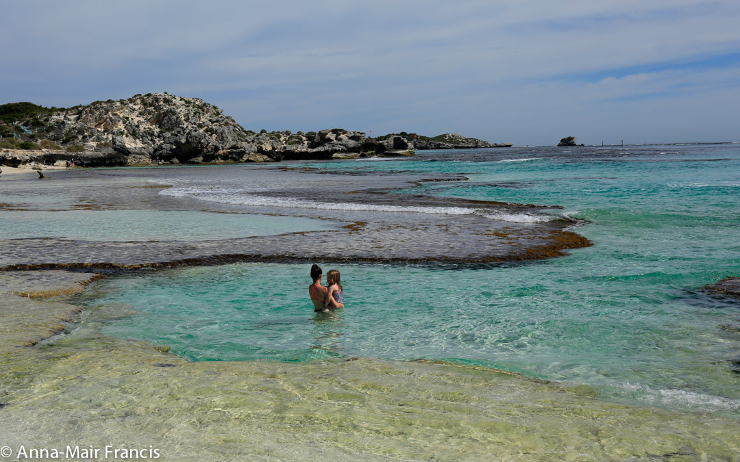 Rottnest Photographic Day Tour Without Ferry