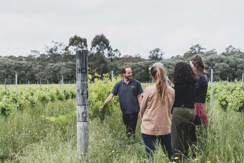 Full Day Wine & All About It Tour: Scones, Chocolate, Wineries, Lunch & More!