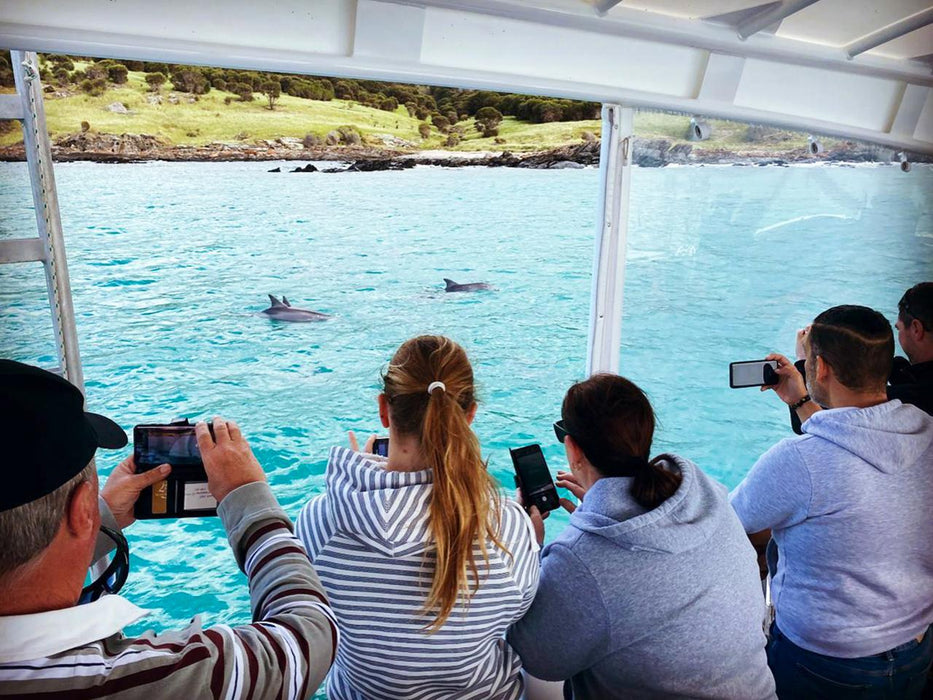 Kangaroo Island Ocean Safari - 75 Minute Safari