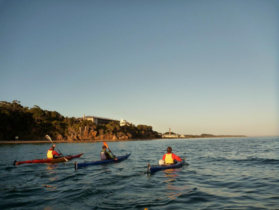 Kayak The Dolphin Sanctuary