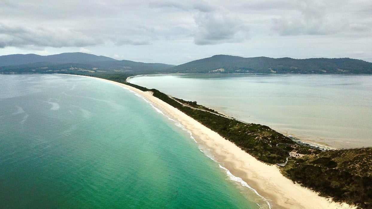 Bruny Island Day Tour