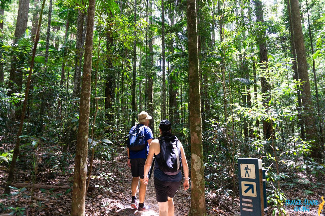 Pack-Free Camping: Lake Mckenzie Eco Walk - 2 Days