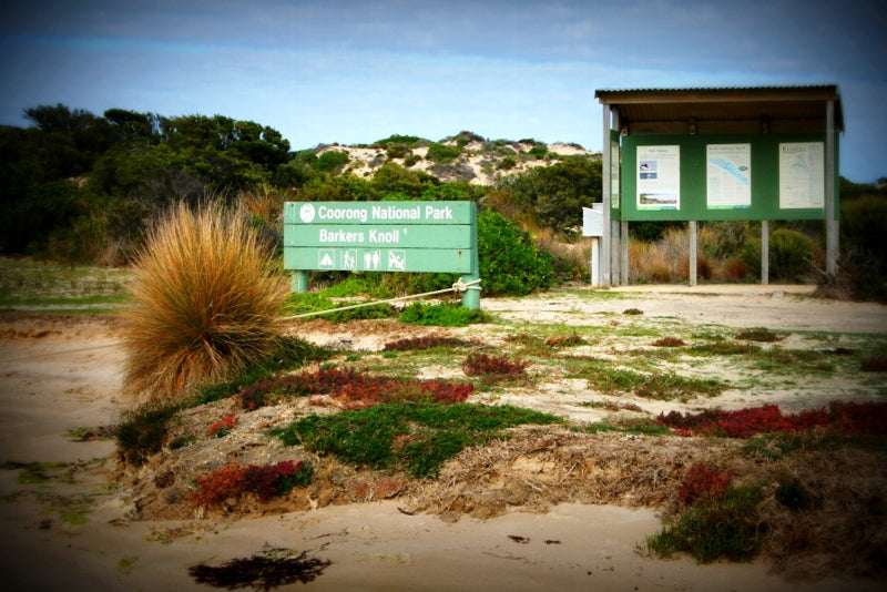 Coorong Adventure 6 Hour Cruise