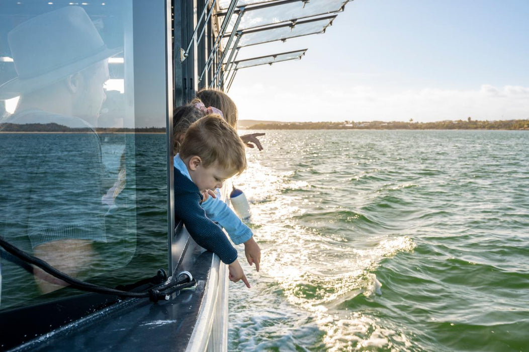 Coffin Bay Short & Sweet Oyster Farm Tour - 6 Oysters Included